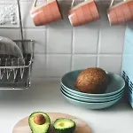 Cactus Free Parking For A Standard Car Apartma