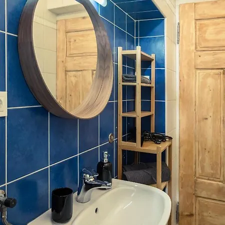 Cactus Free Parking For A Standard Car