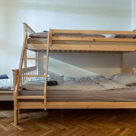 Cactus Free Parking For A Standard Car *