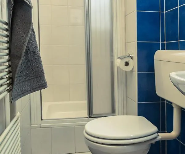 Cactus Free Parking For A Standard Car