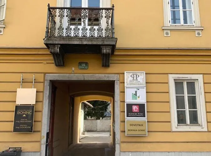 Apartman Cactus Free Parking For A Standard Car