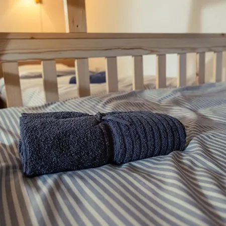 Cactus Free Parking For A Standard Car