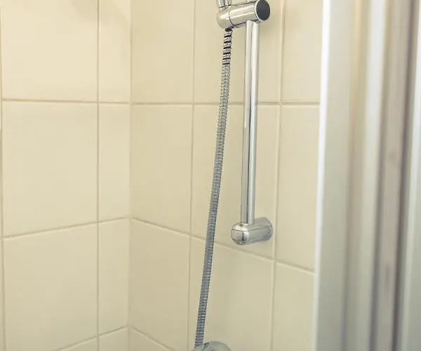 Cactus Free Parking For A Standard Car *